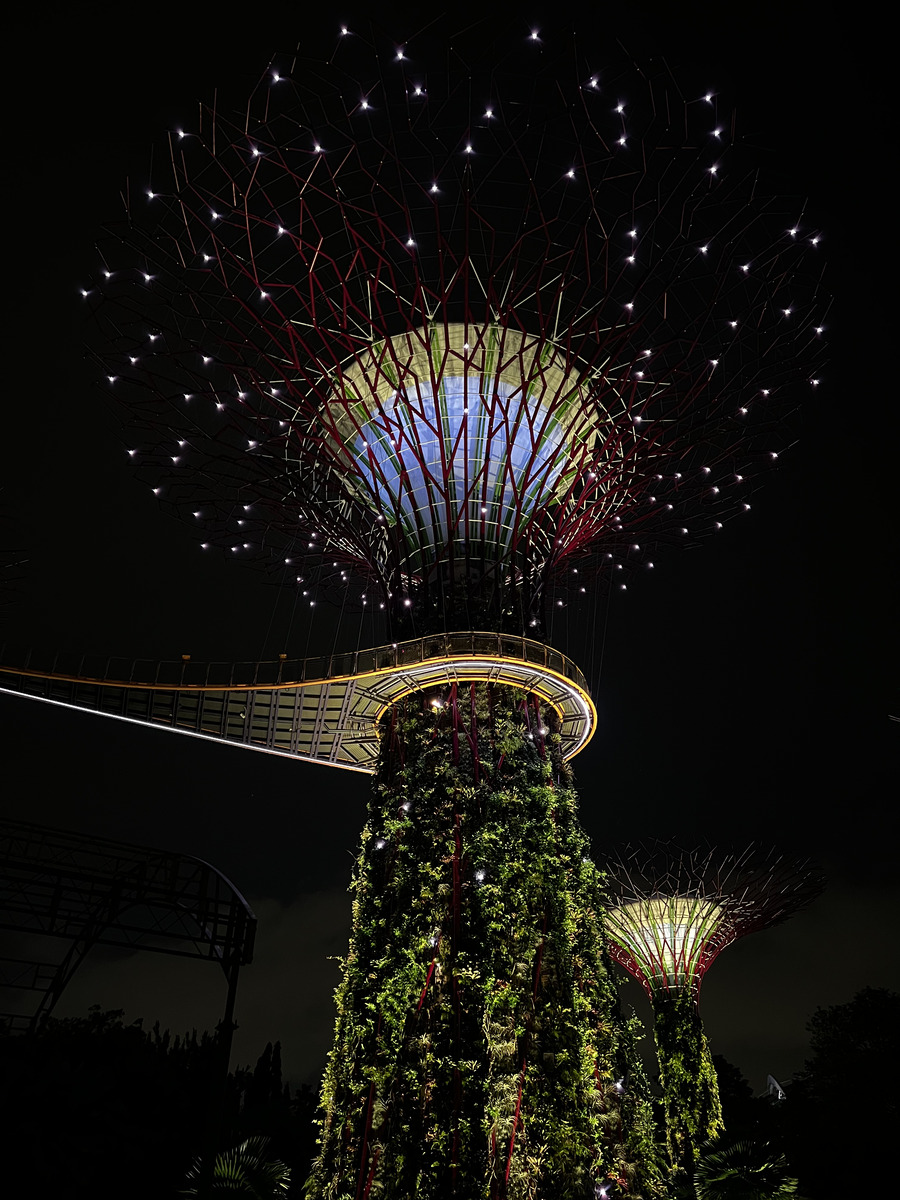 รูปถ่าย สิงคโปร์(Singapore) การ์เดนส์บายเดอะเบย์(Garden by the bay) 2023-01 44