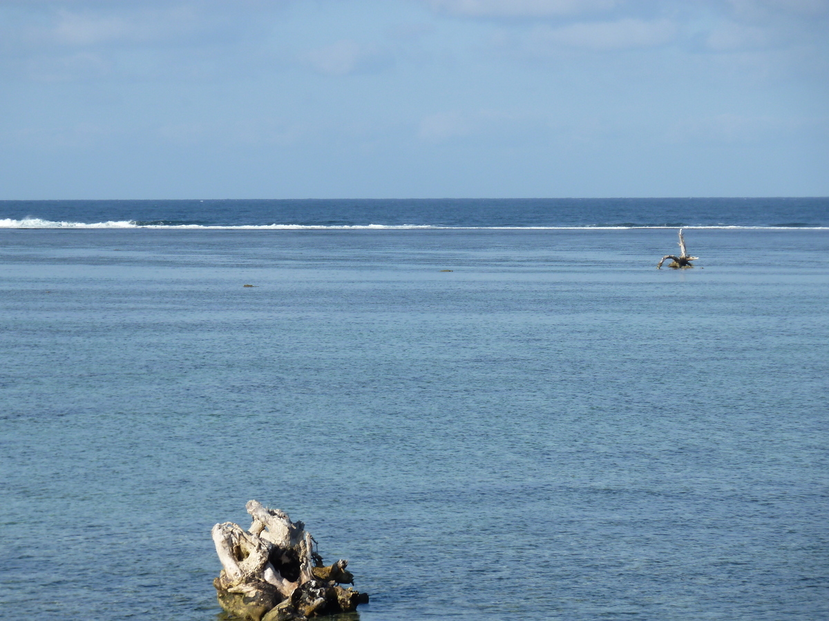 รูปถ่าย ฟิจิ(Fiji) รีสอร์ตแชงกรี-ลาฟิเจียน(Shangri La Fijian Resort) 2010-05 16