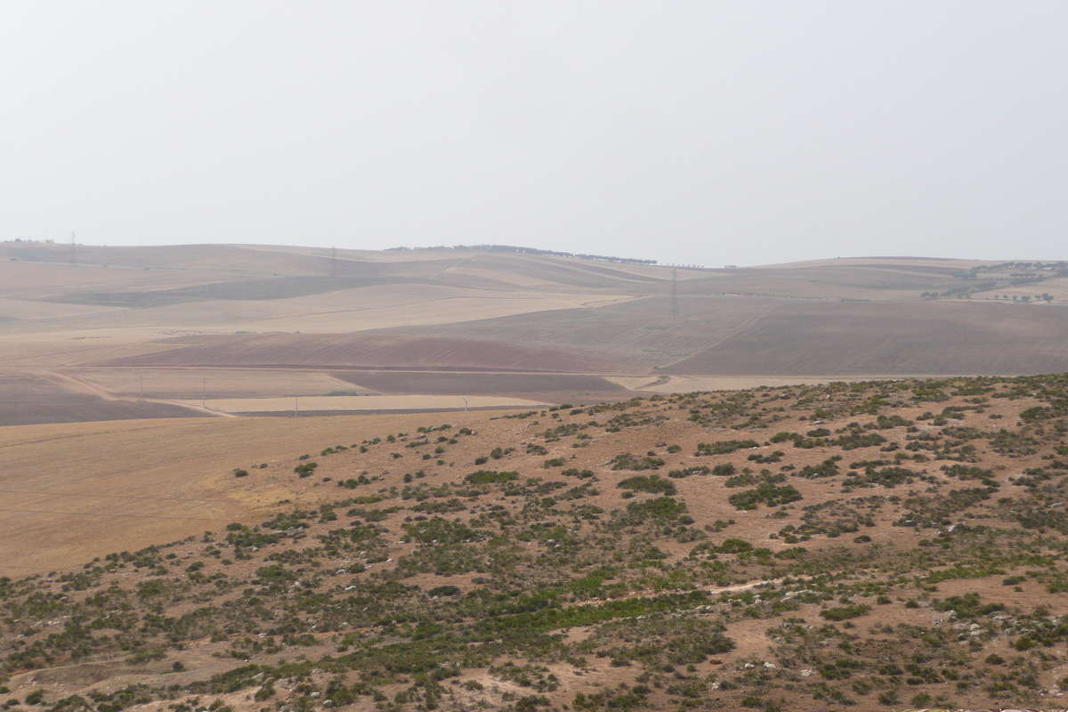 รูปถ่าย โมร็อกโก(Morocco) ถนนจากเฟสไปราบัต(Fes to Rabat Road) 2008-07 52