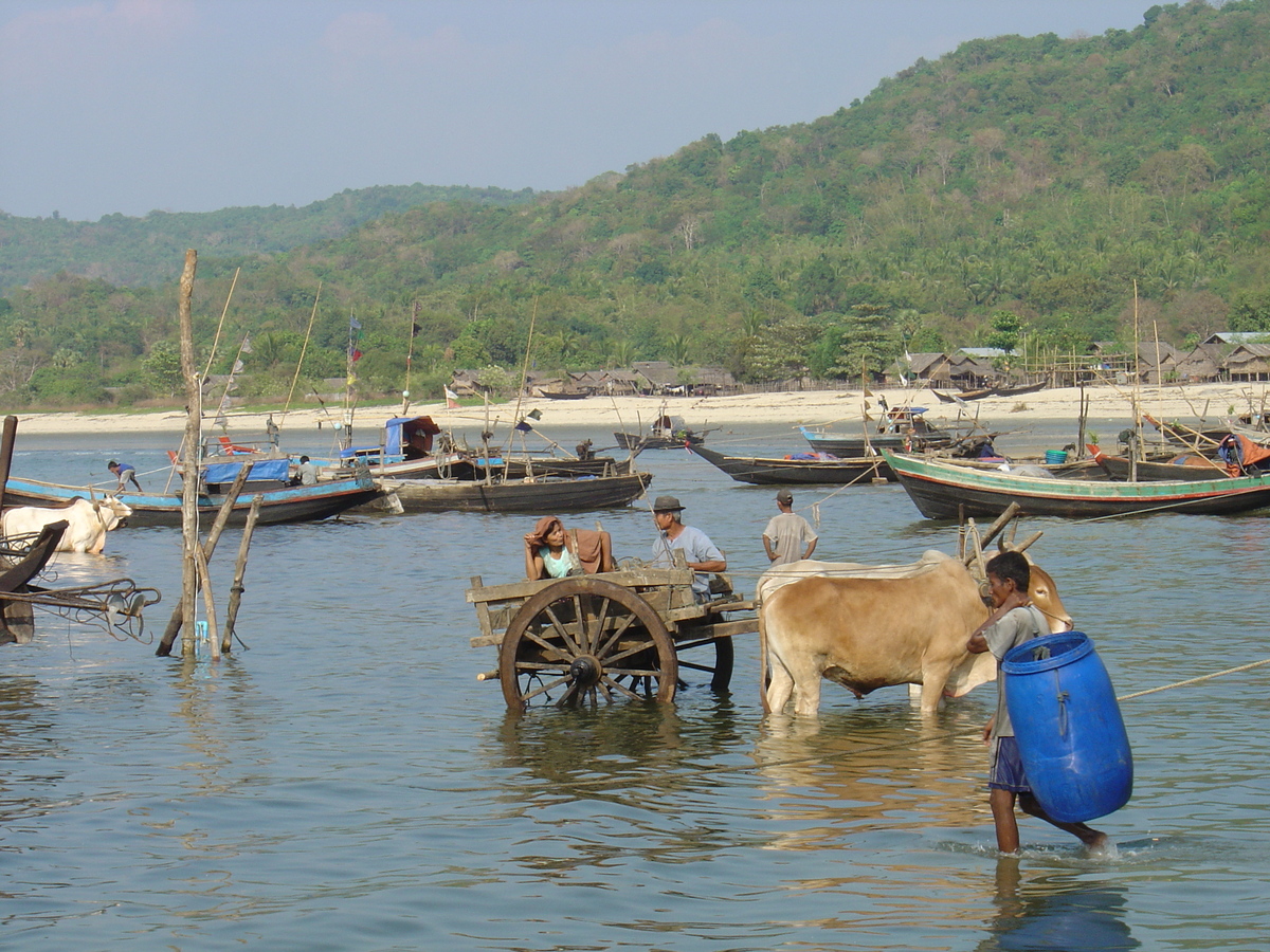รูปถ่าย พม่า(Myanmar) หาดหม่องมะกัน(Maungmagan beach) 2005-01 59