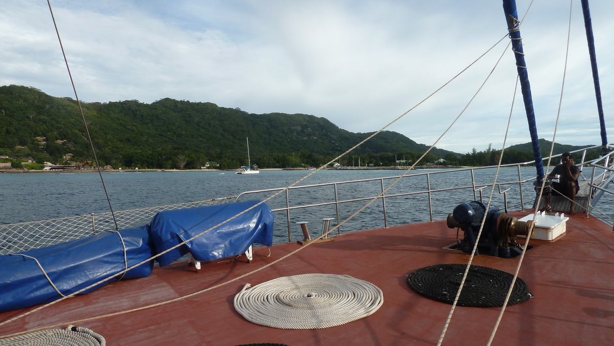 รูปถ่าย เซเชลส์(Seychelles) ซีสตาร์(Sea Star) 2011-10 78