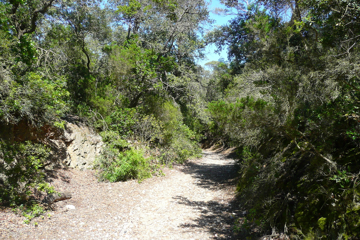 รูปถ่าย ฝรั่งเศส(France) เกาะปอร์เกอรอล(Porquerolles Island) หาดอาลีกัสตร์(Alycastre beach) 2008-05 1