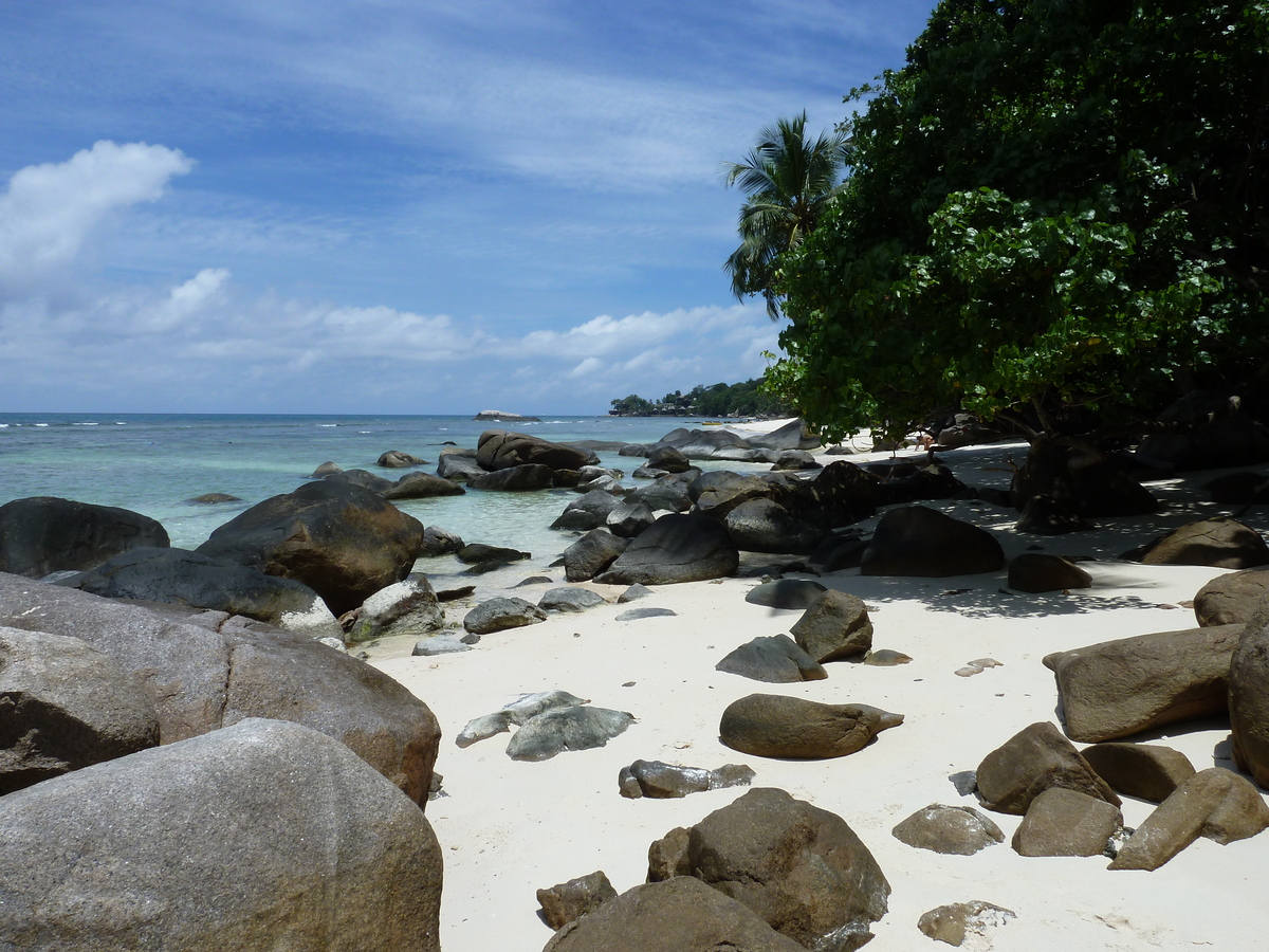 รูปถ่าย เซเชลส์(Seychelles) เกาะมาเฮ(Mahe) 2011-10 25