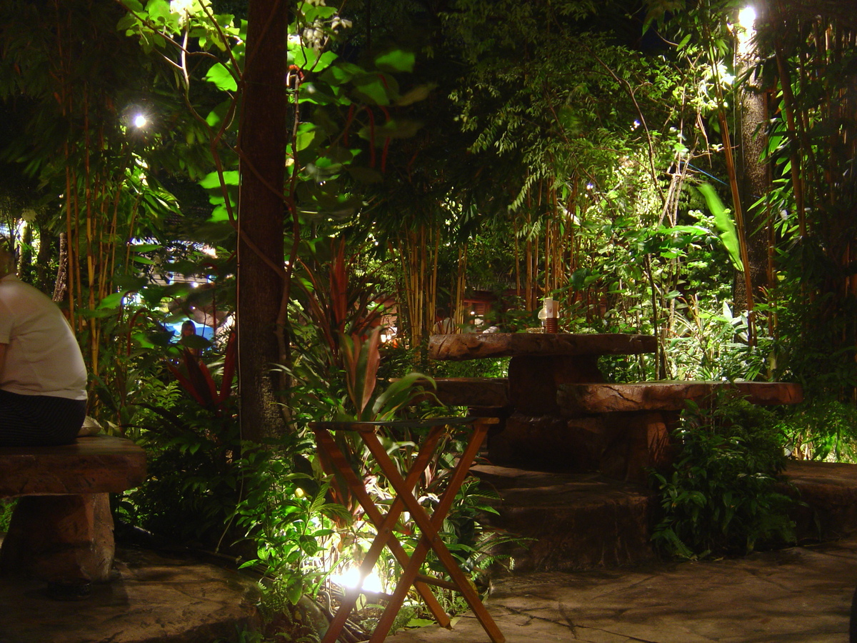 รูปถ่าย ไทย(Thailand) ภูเก็ต(Phuket) ไดโนบาร์(Dino Bar) 2005-12 9