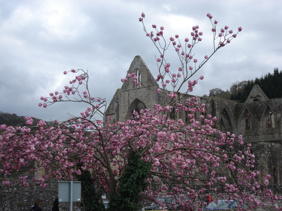 รูปถ่าย อังกฤษ(United Kingdom) ทินเทิร์น(Tintern) 2006-05 25