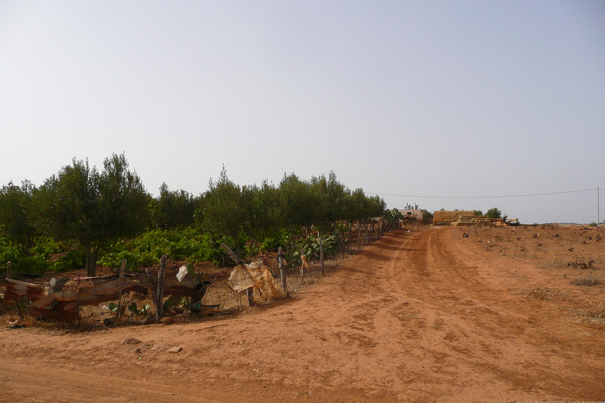 รูปถ่าย โมร็อกโก(Morocco) ถนนจากเฟสไปราบัต(Fes to Rabat Road) 2008-07 54
