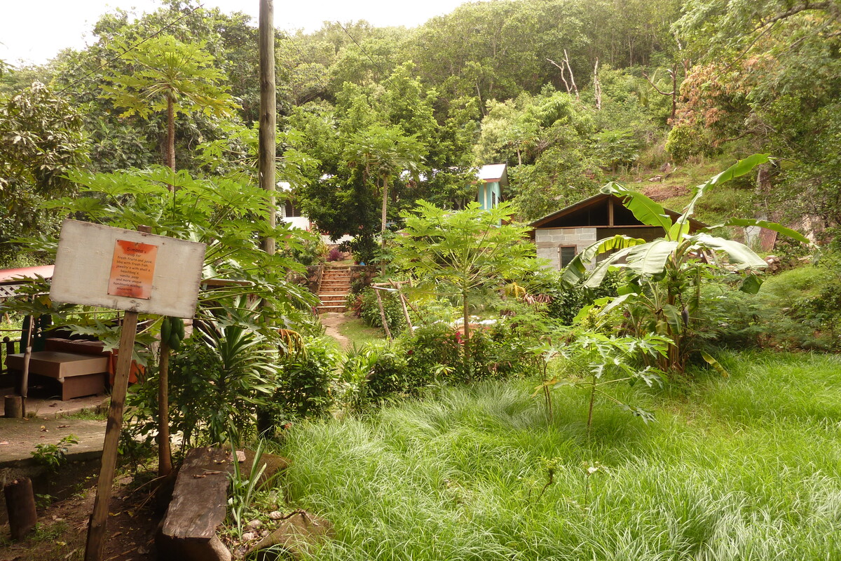 รูปถ่าย เซเชลส์(Seychelles) เกาะลาดีก(La Digue) 2011-10 152