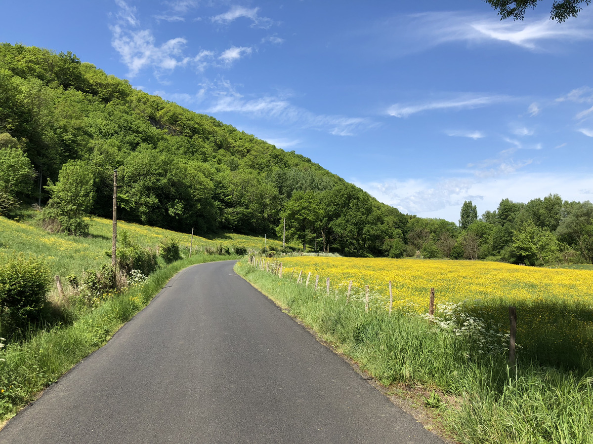รูปถ่าย ฝรั่งเศส(France) ฟลัวรัก(Floirac) 2018-04 93