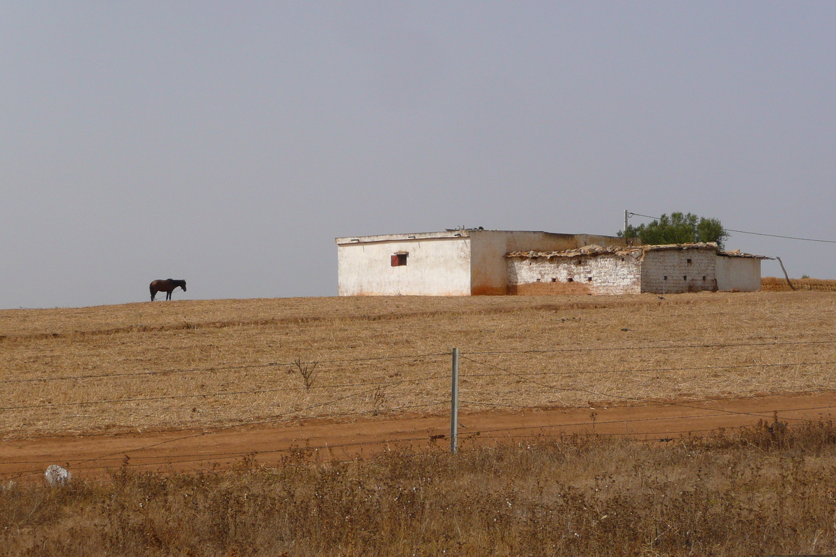 รูปถ่าย โมร็อกโก(Morocco) ถนนจากเฟสไปราบัต(Fes to Rabat Road) 2008-07 50