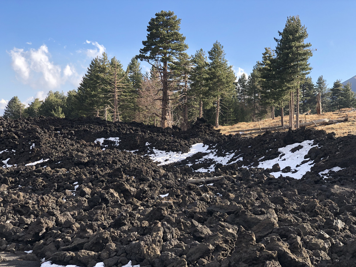 รูปถ่าย อิตาลี(Italy) ซิซิลี(Sicily) ภูเขาไฟเอตนา(Etna) 2020-02 55