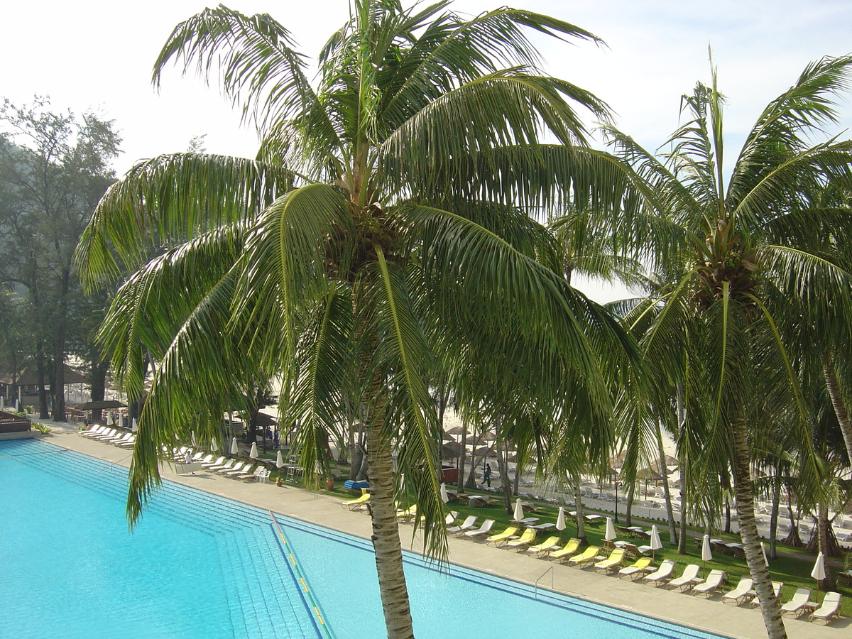 รูปถ่าย ไทย(Thailand) ภูเก็ต(Phuket) โรงแรมเลอเมอริเดียน ภูเก็ตบีช(Meridien Phuket Beach Hotel) 2005-12 66