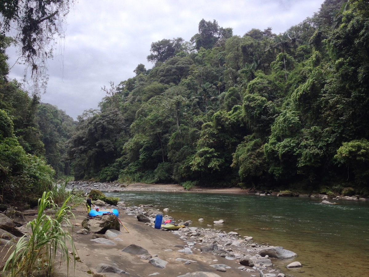 รูปถ่าย คอสตาริกา(Costa Rica) แม่น้ำปากัวเร(Pacuare River) 2015-03 218