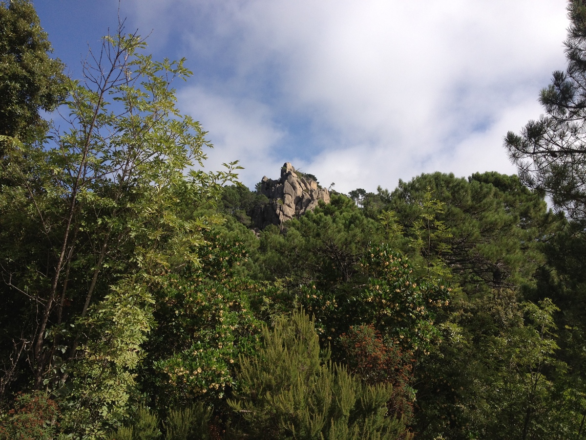 รูปถ่าย ฝรั่งเศส(France) คอร์สิคา(Corsica) ป่าลอสเปดาเล(L'ospedale Forest) 2012-09 13