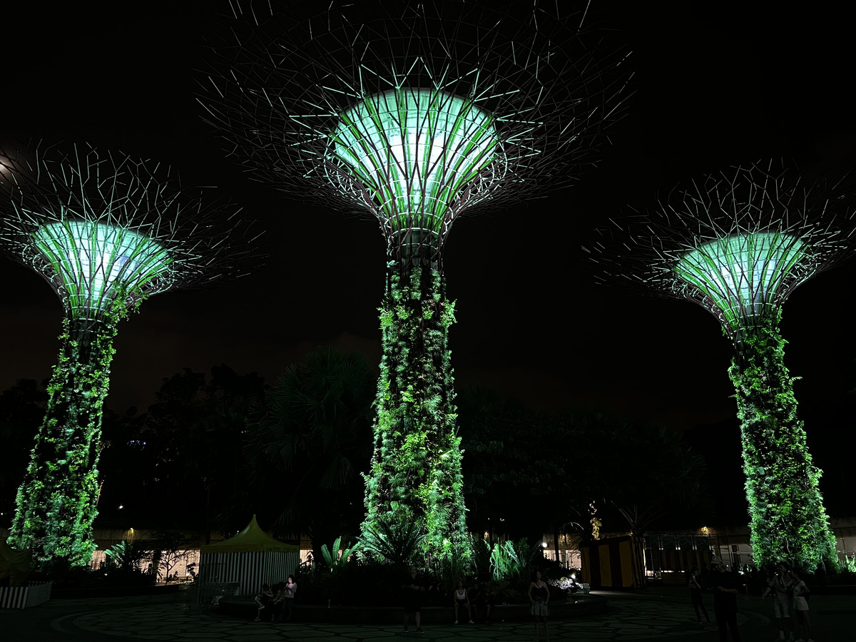 รูปถ่าย สิงคโปร์(Singapore) การ์เดนส์บายเดอะเบย์(Garden by the bay) 2023-01 22