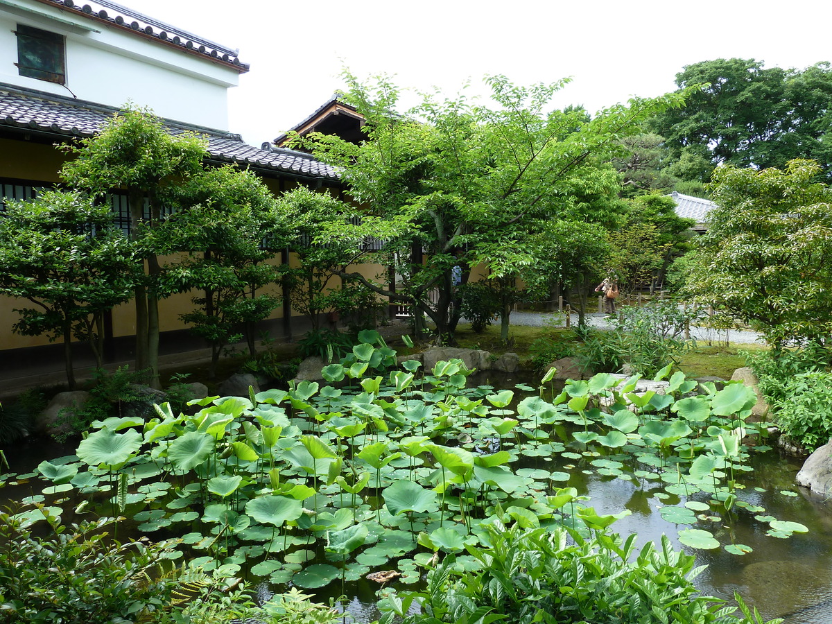 รูปถ่าย ญี่ปุ่น(Japan) เกียวโต(Kyoto) สวนโชเซเอ็ง(Shosei en Garden) 2010-06 2
