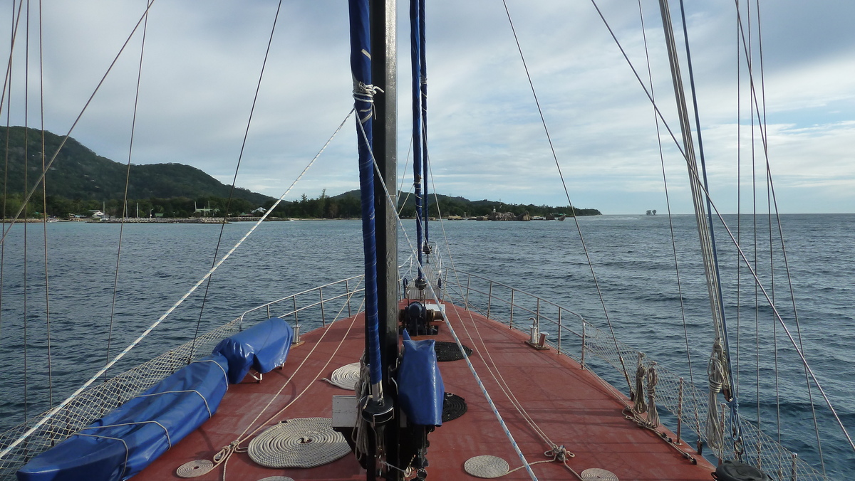 รูปถ่าย เซเชลส์(Seychelles) ซีสตาร์(Sea Star) 2011-10 6