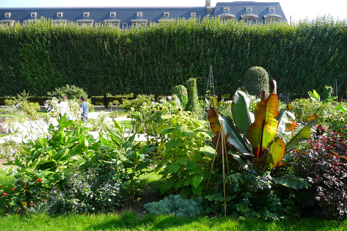 รูปถ่าย ฝรั่งเศส(France) ปารีส(Paris) สวนพันธ์ุพืช(Jardin des Plantes) 2007-08 194