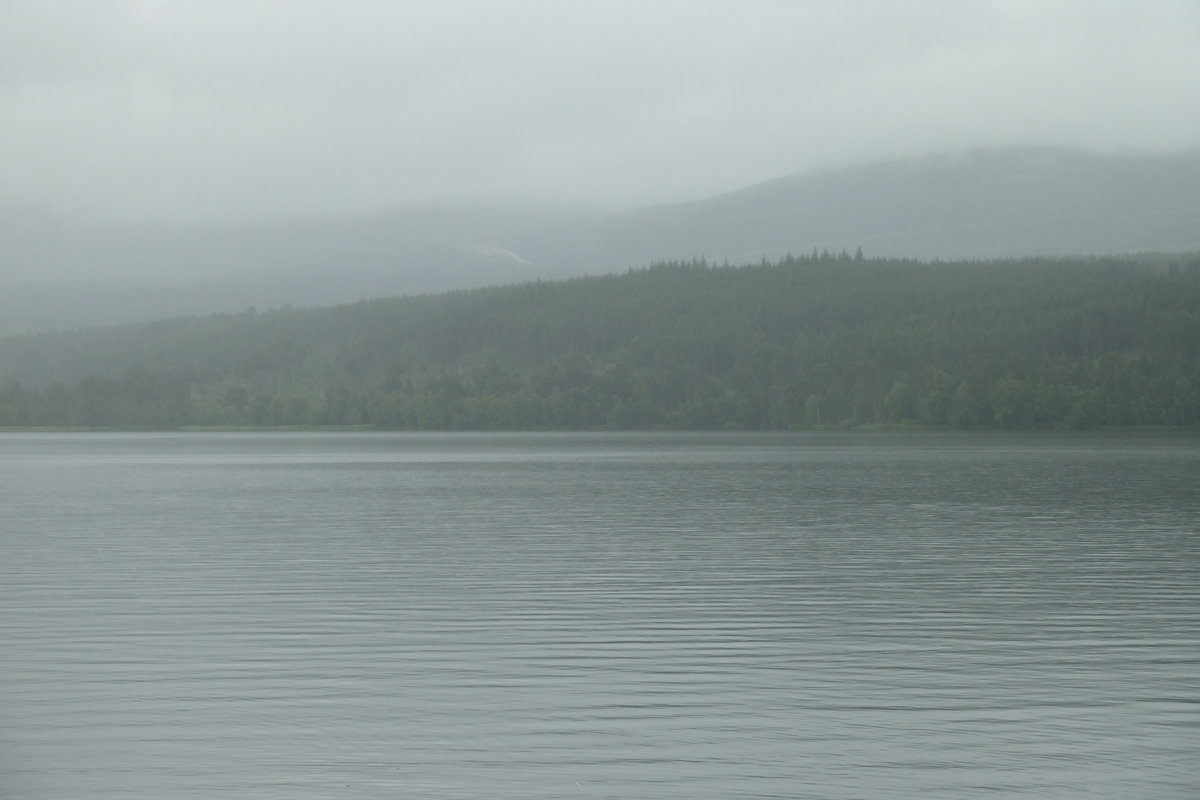 รูปถ่าย อังกฤษ(United Kingdom) สกอตแลนด์(Scotland) ถนนจากฟอร์เรสไปเอวีมอร์(Forres to Aviemore road) 2011-07 15