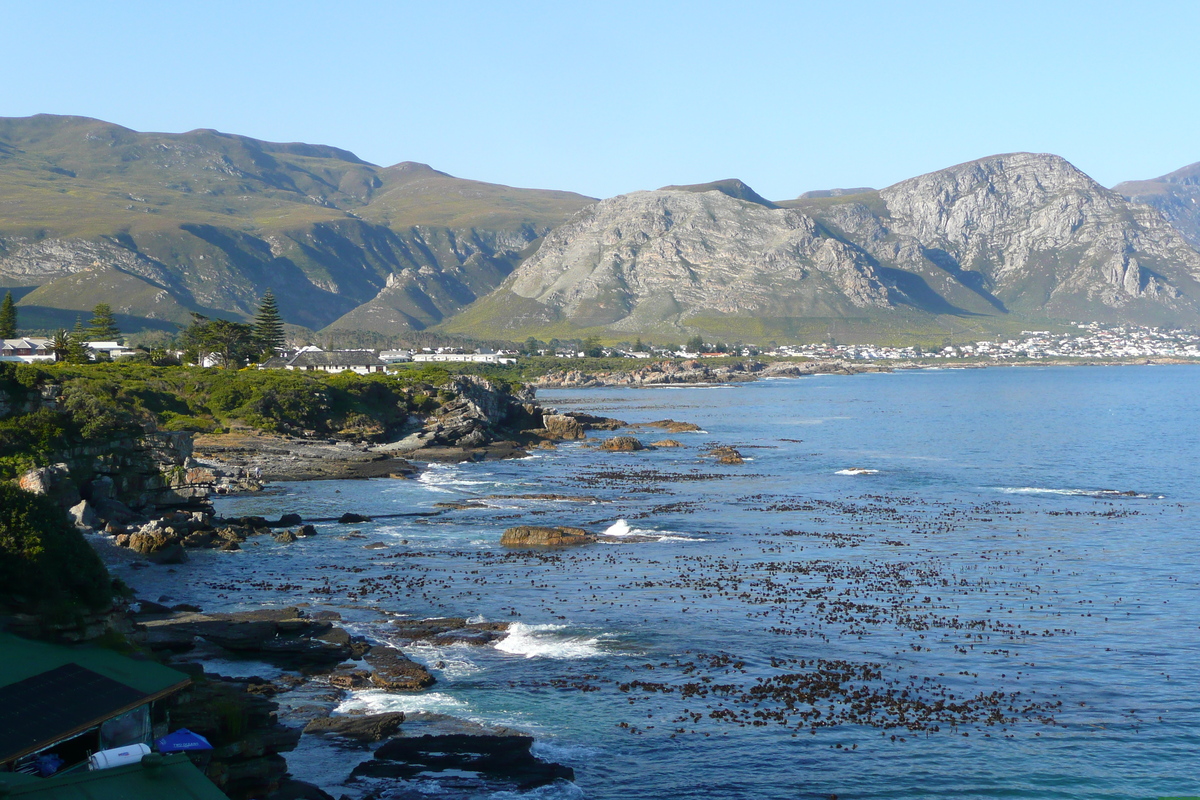 รูปถ่าย แอฟริกาใต้(South Africa) เฮอร์มานัส(Harmanus) 2008-09 123