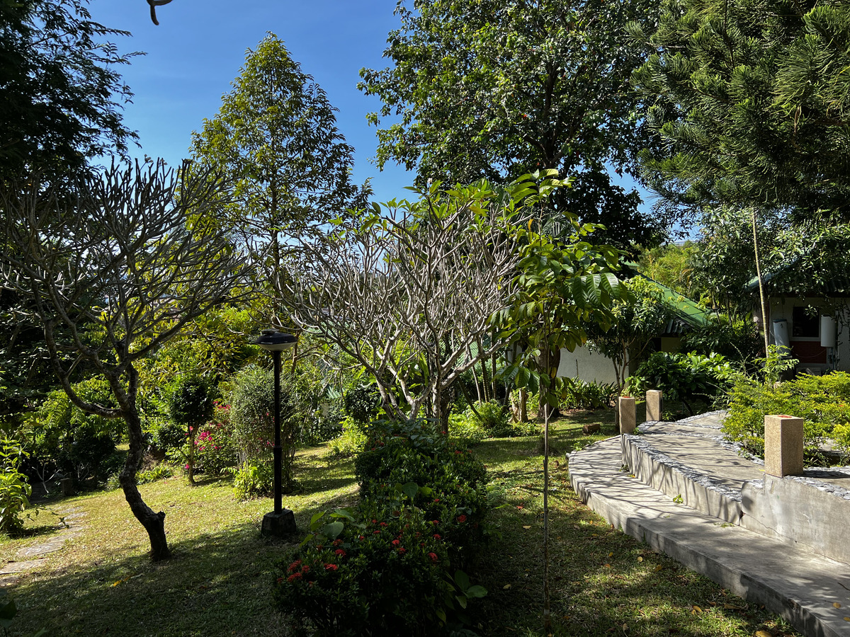 รูปถ่าย ไทย(Thailand) ภูเก็ต(Phuket) หาดกะตะ(Kata Beach) กะตะการ์เด้นรีสอร์ต(Kata Garden Resort) 2021-12 9