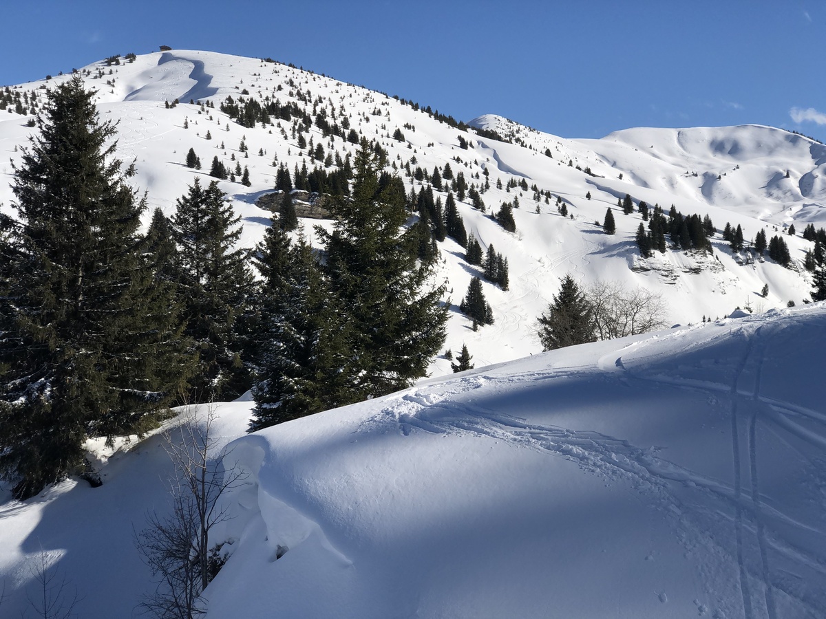 รูปถ่าย ฝรั่งเศส(France) เมแฌฟว์(Megeve) 2019-03 31