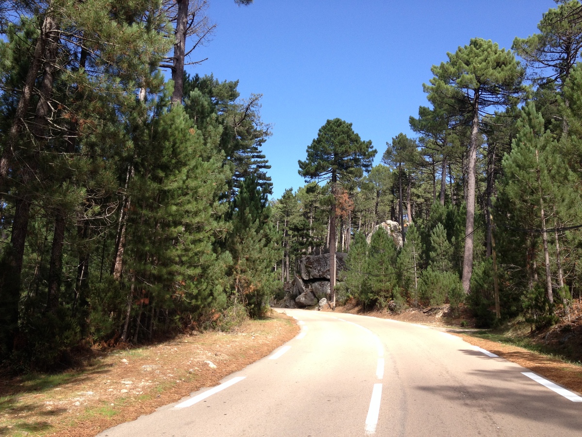 รูปถ่าย ฝรั่งเศส(France) คอร์สิคา(Corsica) ป่าลอสเปดาเล(L'ospedale Forest) 2012-09 23