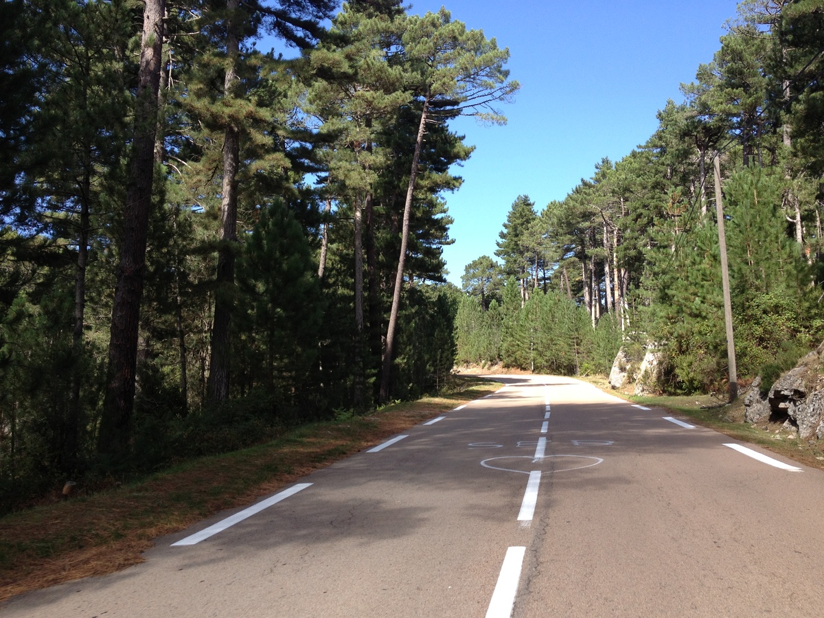 รูปถ่าย ฝรั่งเศส(France) คอร์สิคา(Corsica) ป่าลอสเปดาเล(L'ospedale Forest) 2012-09 41