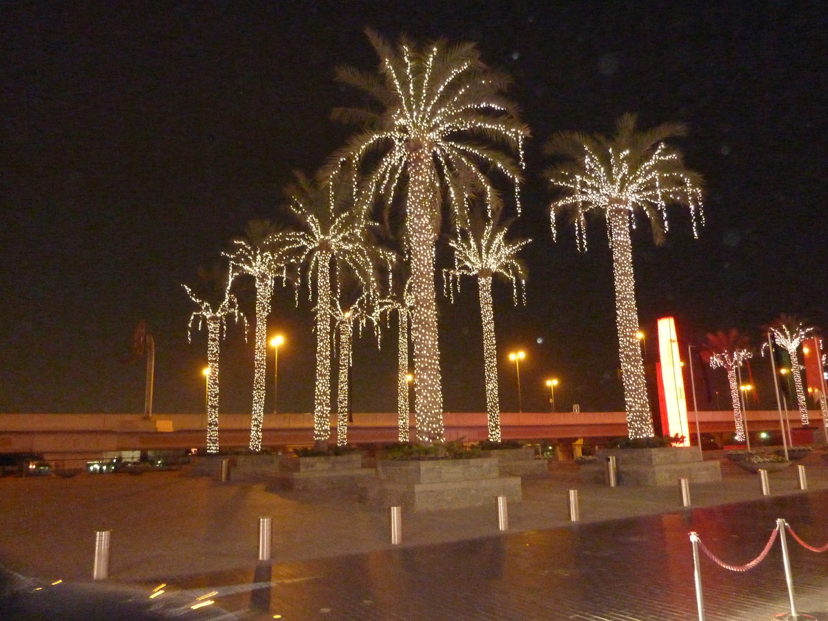 รูปถ่าย สหรัฐอาหรับเอมิเรตส์(United Arab Emirates) ดูไบ(Dubai) ดูไบมอลล์(The Dubai Mall) 2009-12 57