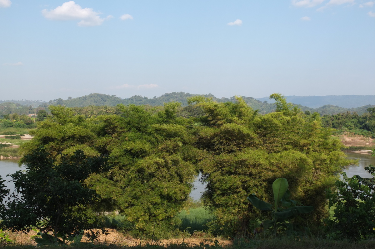 รูปถ่าย ไทย(Thailand) แม่น้ำโขง(Mekong river) 2012-12 245
