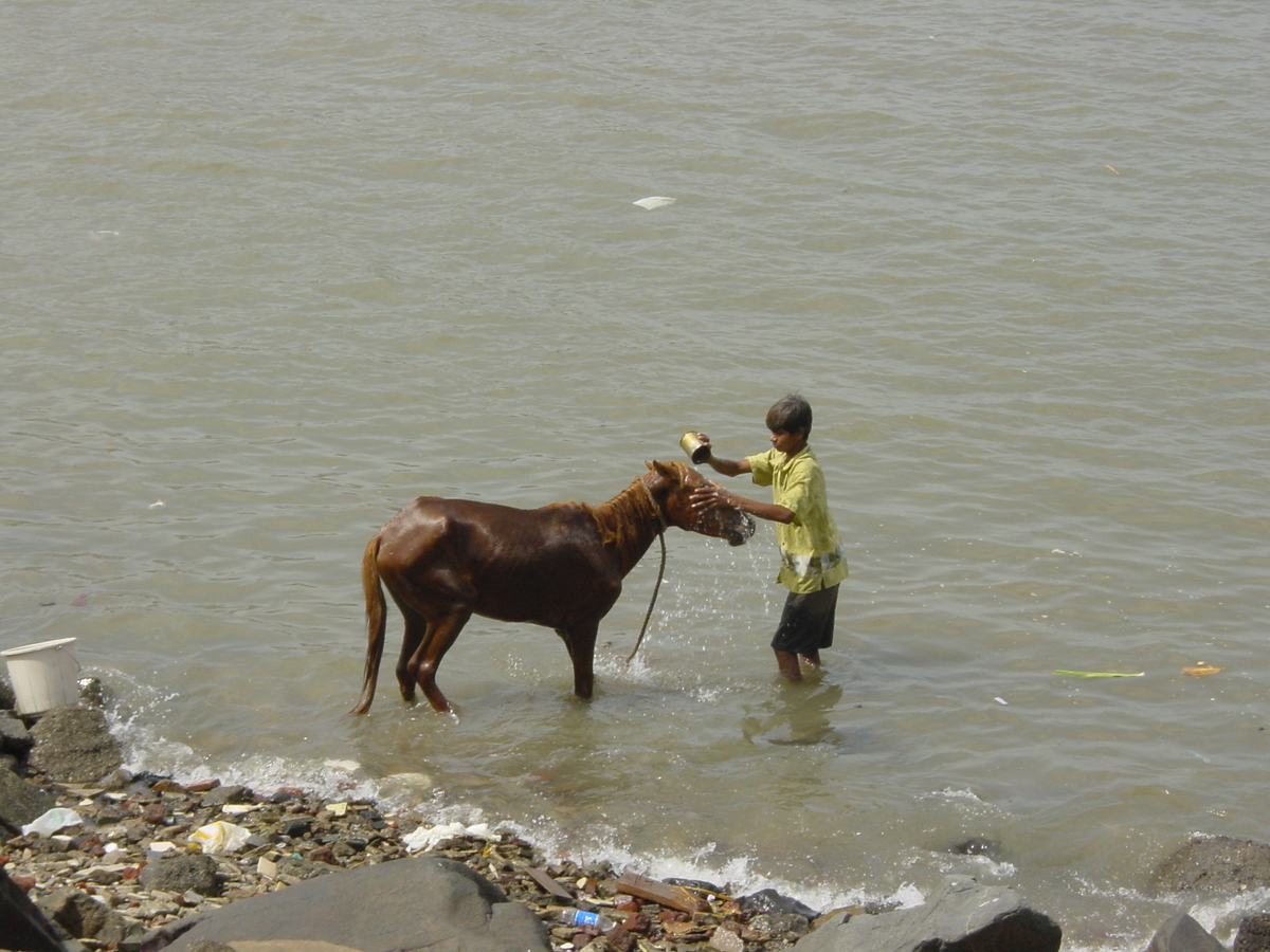 รูปถ่าย อินเดีย(India) 2003-05 24