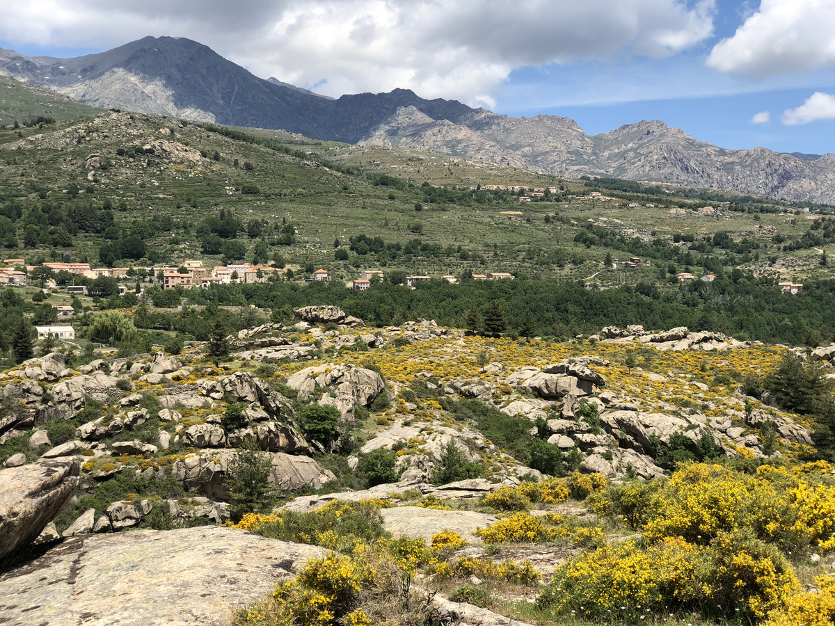 รูปถ่าย ฝรั่งเศส(France) คอร์สิคา(Corsica) ป่าไอโตเน(Aitone Forest) 2021-06 3