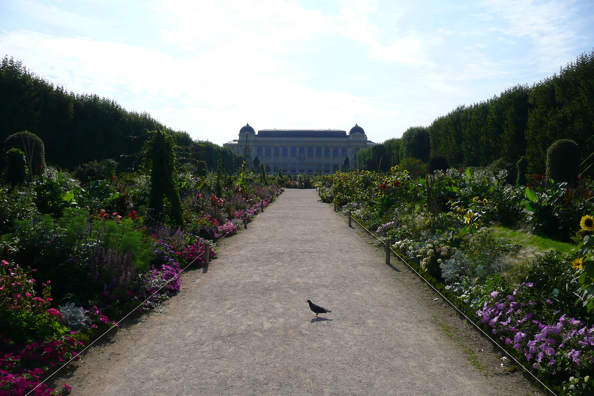 รูปถ่าย ฝรั่งเศส(France) ปารีส(Paris) สวนพันธ์ุพืช(Jardin des Plantes) 2007-08 207