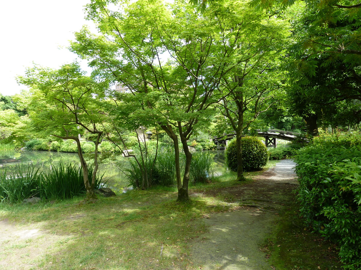รูปถ่าย ญี่ปุ่น(Japan) เกียวโต(Kyoto) สวนโชเซเอ็ง(Shosei en Garden) 2010-06 16