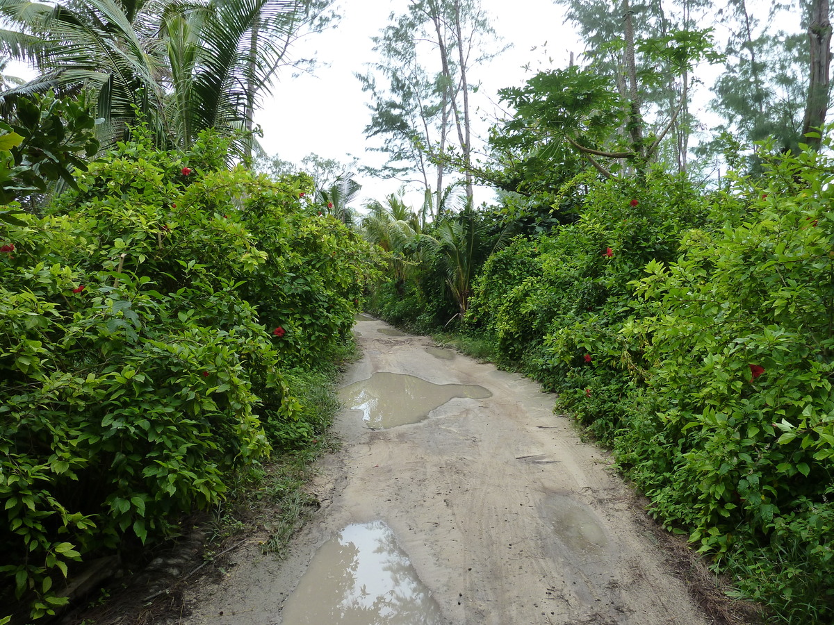 รูปถ่าย เซเชลส์(Seychelles) เกาะลาดีก(La Digue) 2011-10 107
