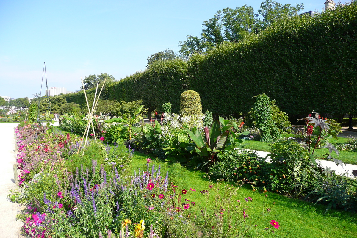 รูปถ่าย ฝรั่งเศส(France) ปารีส(Paris) สวนพันธ์ุพืช(Jardin des Plantes) 2007-08 20