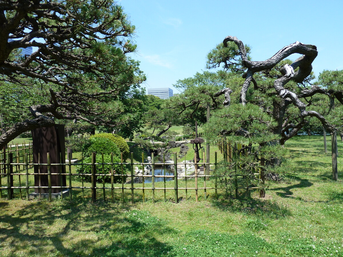รูปถ่าย ญี่ปุ่น(Japan) โตเกียว(Tokyo) สวนฮามะริคิว(Hama rikyu Gardens) 2010-06 7