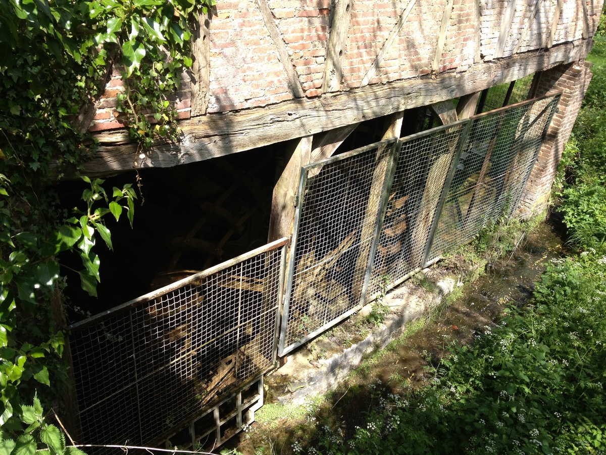 รูปถ่าย ฝรั่งเศส(France) ลียงส์-ลา-ฟอแร(Lyons La Foret) 2014-05 109
