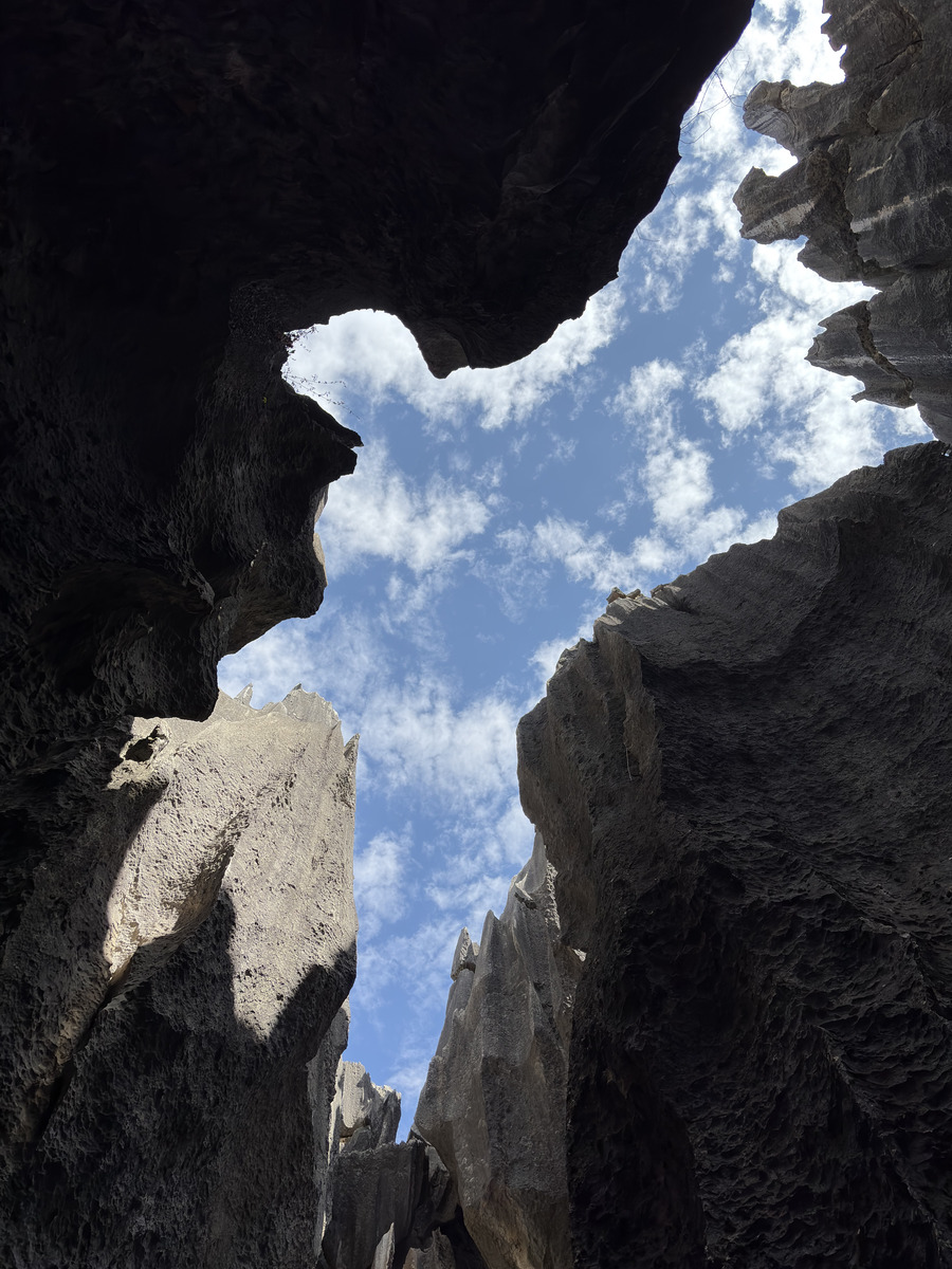 รูปถ่าย จีน(China) ป่าหินสือหลิน(Shilin Stone Forest) 2026-01 165