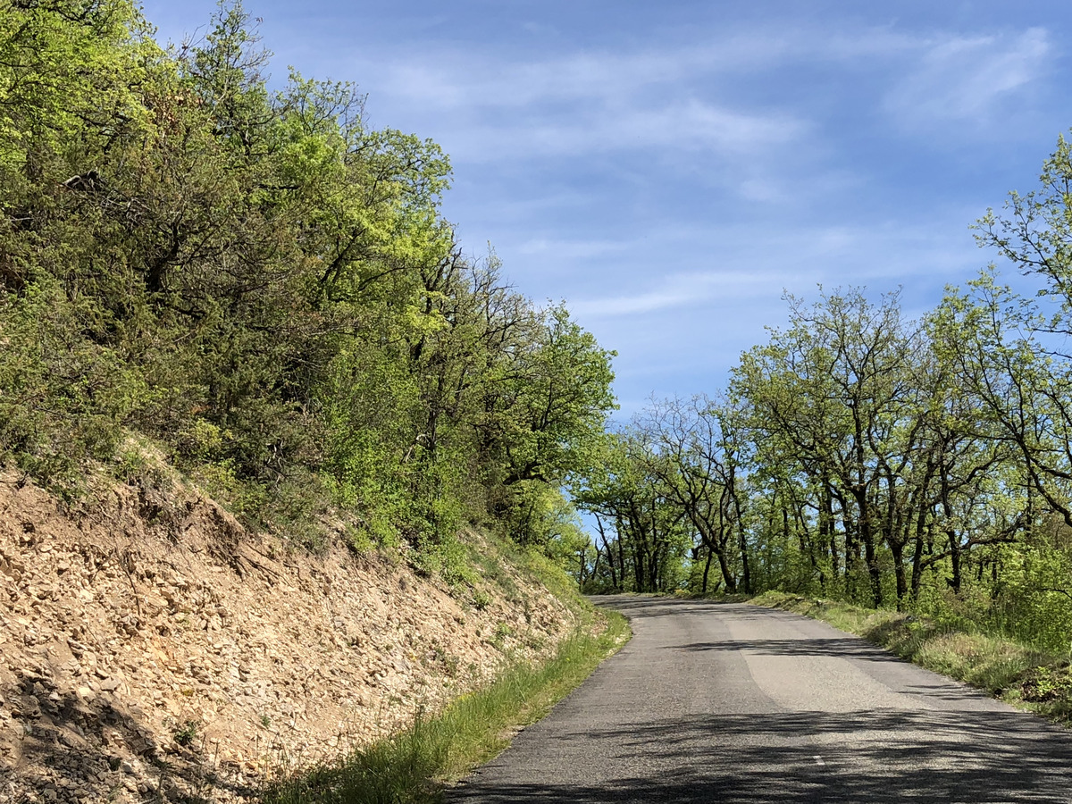 รูปถ่าย ฝรั่งเศส(France) ฟลัวรัก(Floirac) 2018-04 79