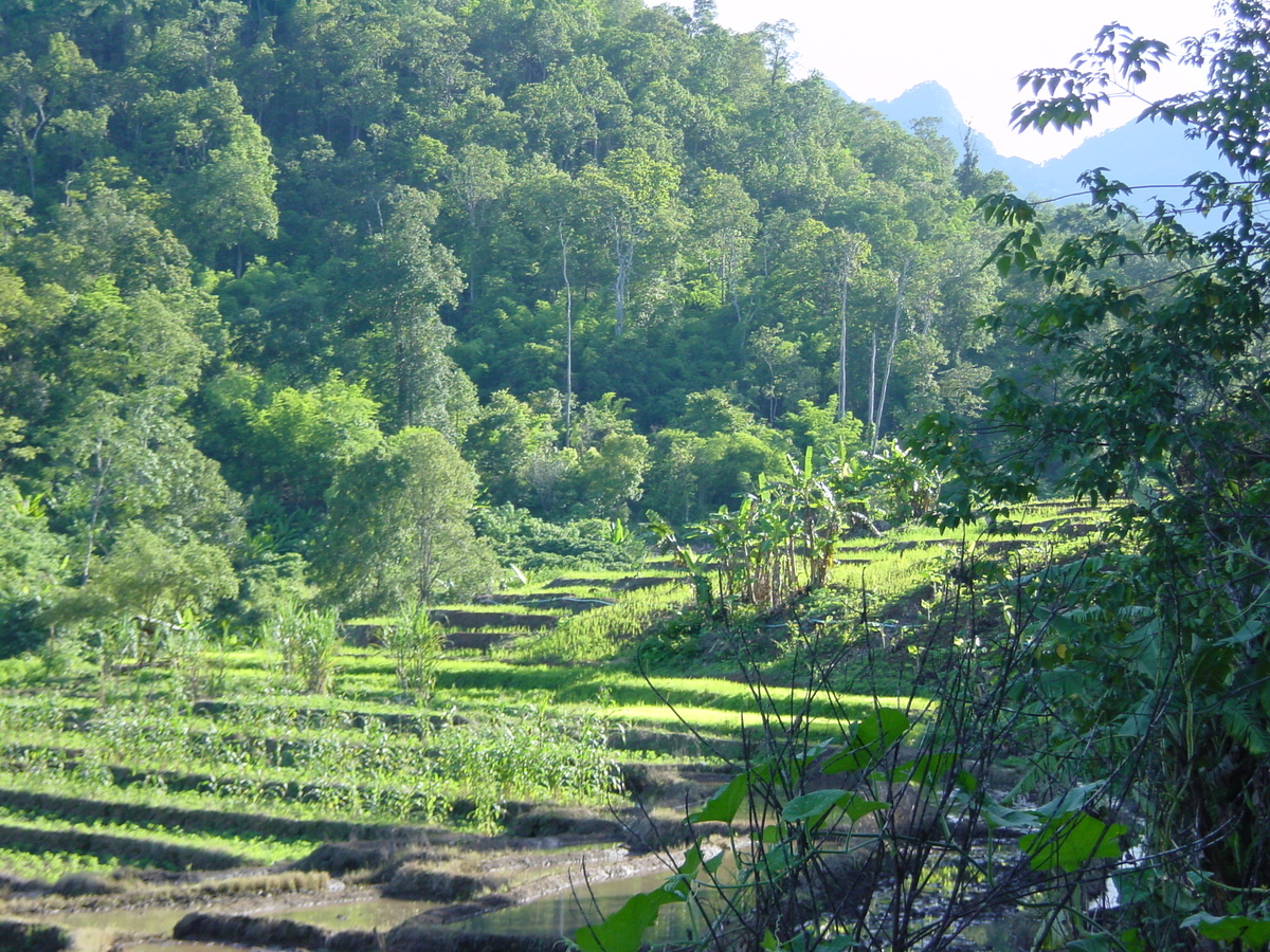 รูปถ่าย ไทย(Thailand) แม่ฮ่องสอน(Mae Hong Son) 2003-07 47