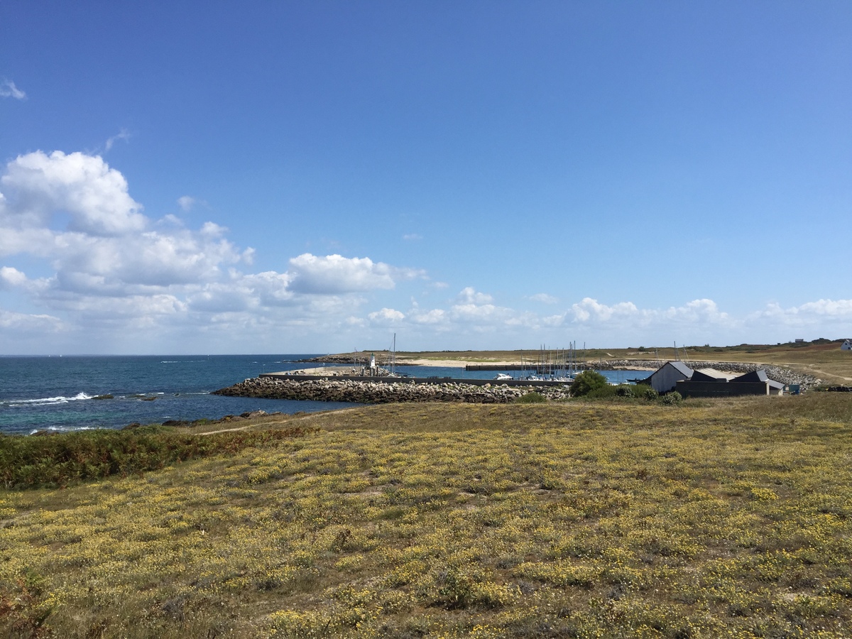 รูปถ่าย ฝรั่งเศส(France) เกาะเอดิก(Hoedic) 2016-08 66