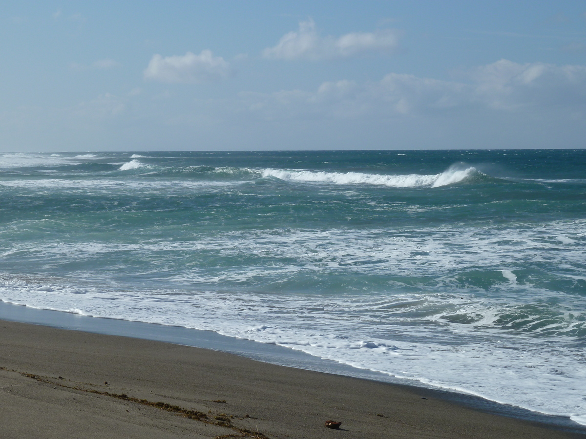 รูปถ่าย ฟิจิ(Fiji) อุทยานแห่งชาติเนินทรายซิงกาโตกา(Sigatoka sand dunes national park) 2010-05 3