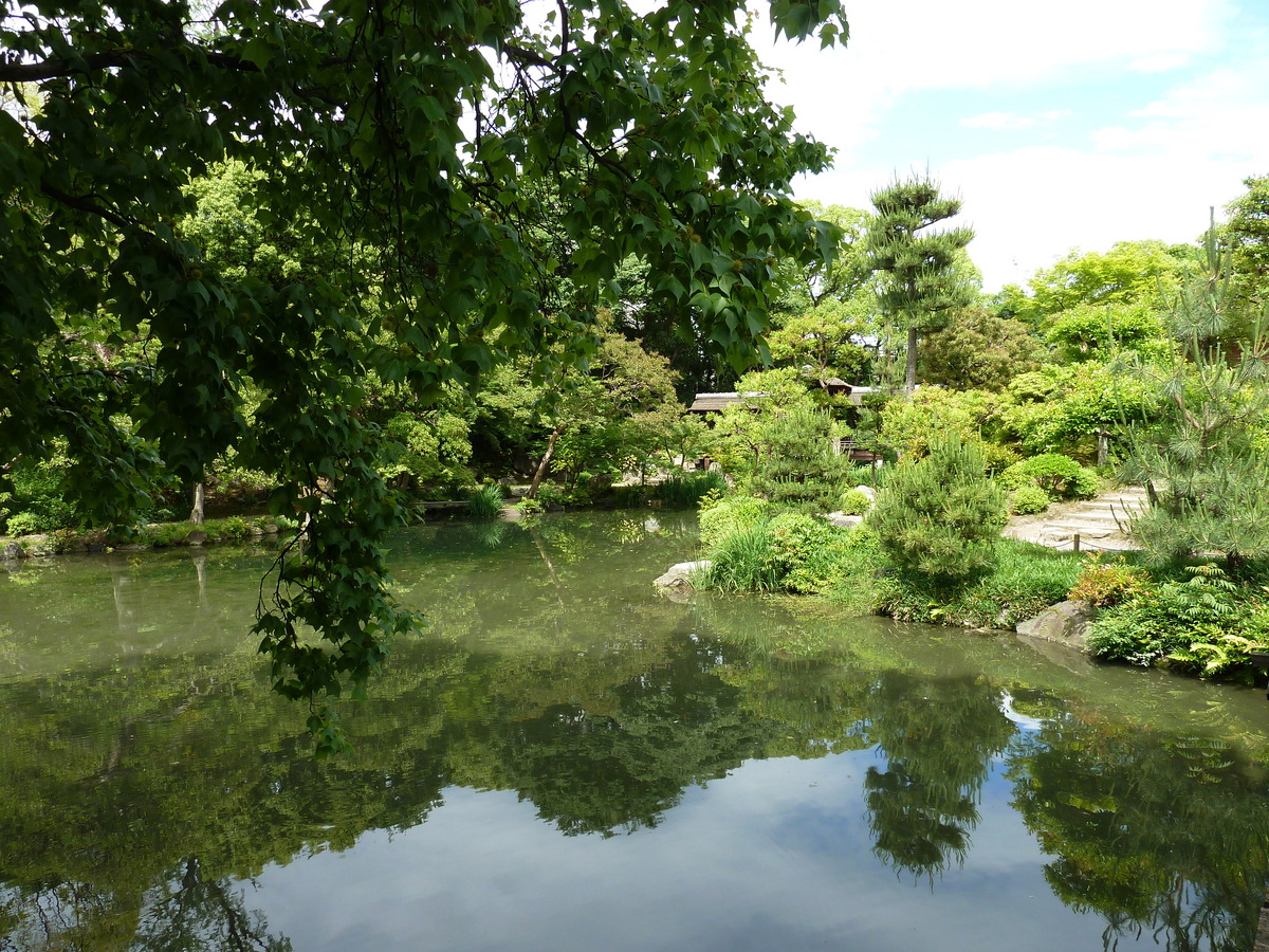 รูปถ่าย ญี่ปุ่น(Japan) เกียวโต(Kyoto) สวนโชเซเอ็ง(Shosei en Garden) 2010-06 72
