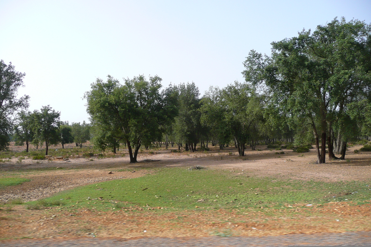 รูปถ่าย โมร็อกโก(Morocco) ถนนจากเฟสไปราบัต(Fes to Rabat Road) 2008-07 6