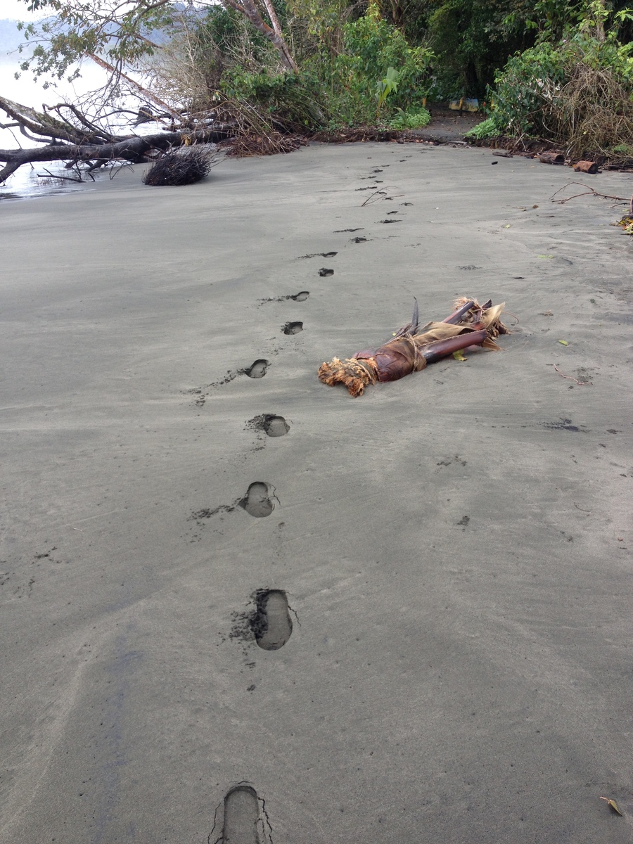 รูปถ่าย คอสตาริกา(Costa Rica) กาอุยตา(Cahuita) 2015-03 174