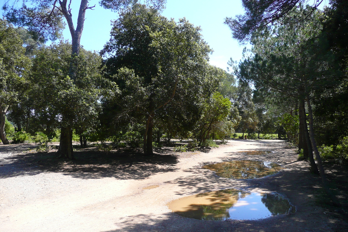รูปถ่าย ฝรั่งเศส(France) เกาะปอร์เกอรอล(Porquerolles Island) ที่ราบกูร์ตาด(Plaine de la courtade) 2008-05 9