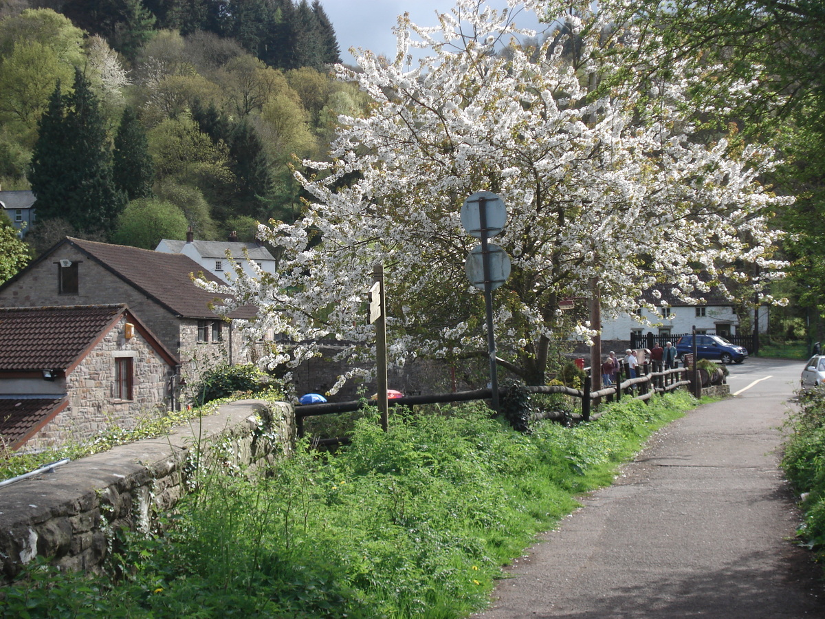 รูปถ่าย อังกฤษ(United Kingdom) ทินเทิร์น(Tintern) 2006-05 15