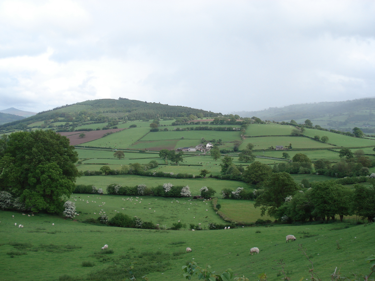 รูปถ่าย อังกฤษ(United Kingdom) อุทยานแห่งชาติเบรคอนบีคอนส์(Brecon Beacons National Park) 2006-05 72