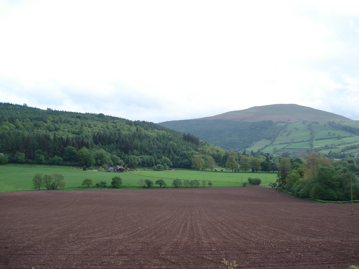 รูปถ่าย อังกฤษ(United Kingdom) อุทยานแห่งชาติเบรคอนบีคอนส์(Brecon Beacons National Park) 2006-05 11
