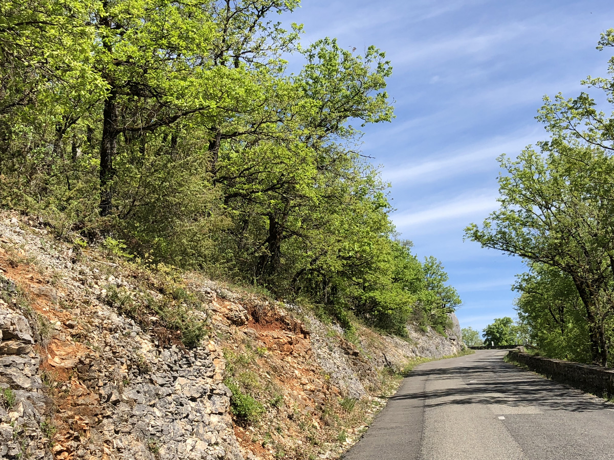 รูปถ่าย ฝรั่งเศส(France) ฟลัวรัก(Floirac) 2018-04 100